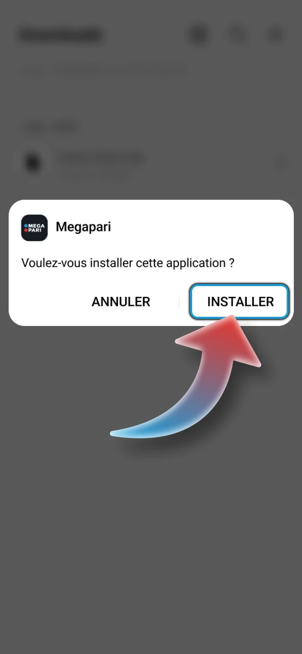 Recherchez le fichier Megapari dans vos téléchargements et lancez l'installation.