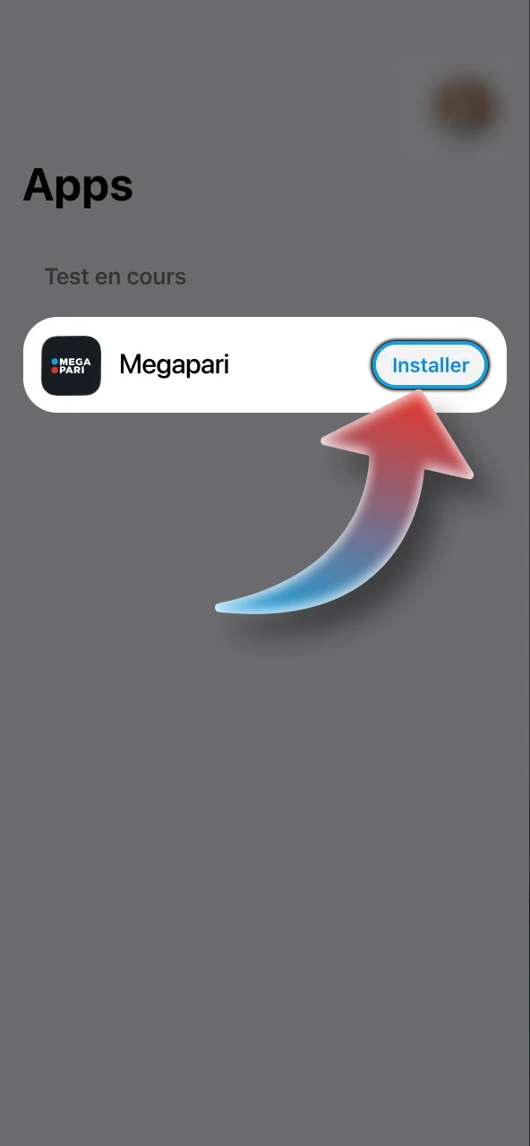 Trouvez l'application Megapari et cliquez sur le bouton d'installation.