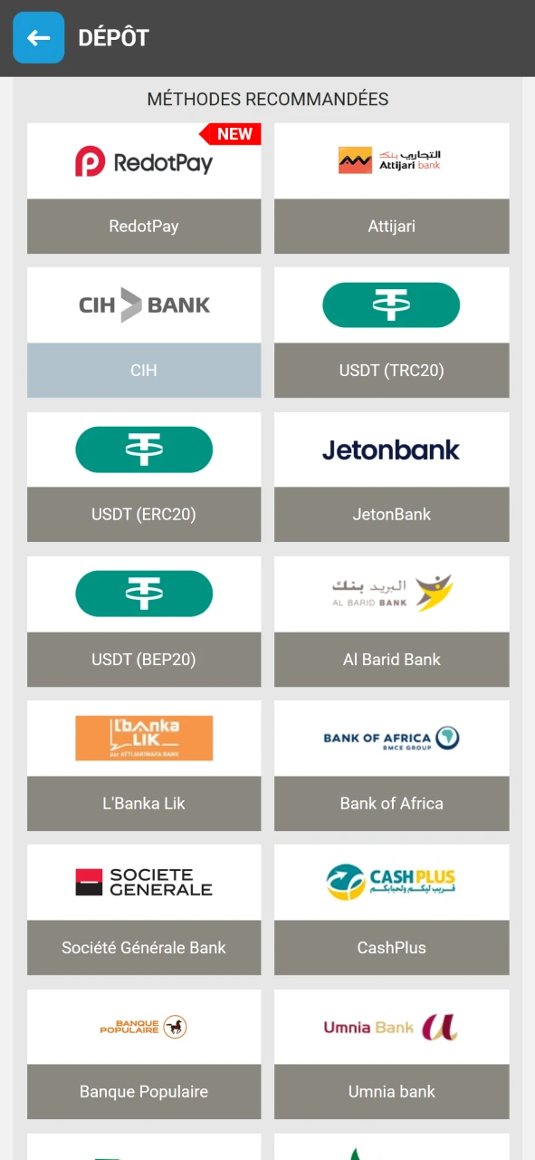 Choisissez un système de paiement disponible sur Megapari.